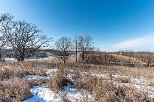Xxxxx 200th Street, Battle Lake, MN 56515