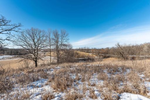 Xxxxx 200th Street, Battle Lake, MN 56515