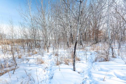 Xxxxx 200th Street, Battle Lake, MN 56515