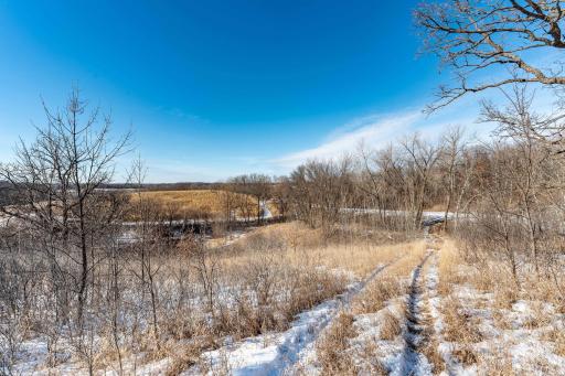 Xxxxx 200th Street, Battle Lake, MN 56515