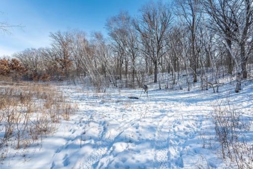 Xxxxx 200th Street, Battle Lake, MN 56515