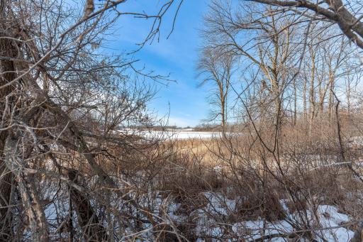 Xxxxx 200th Street, Battle Lake, MN 56515