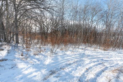 Xxxxx 200th Street, Battle Lake, MN 56515
