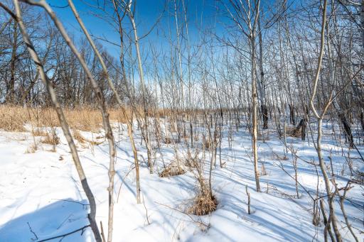 Xxxxx 200th Street, Battle Lake, MN 56515