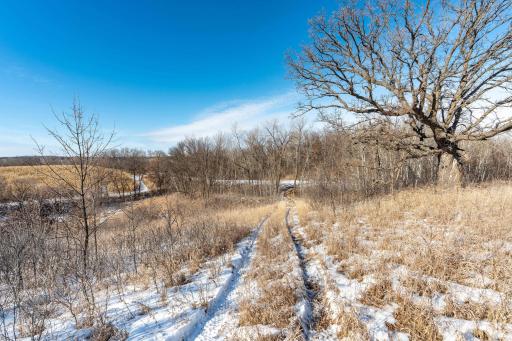 Xxxxx 200th Street, Battle Lake, MN 56515