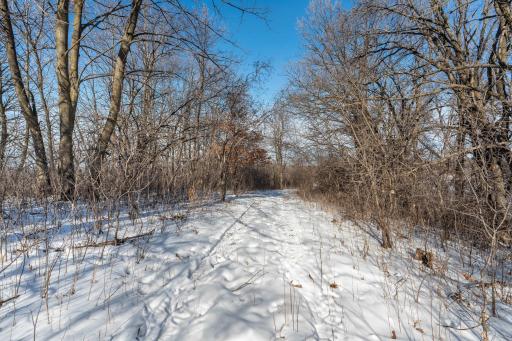 Xxxxx 200th Street, Battle Lake, MN 56515
