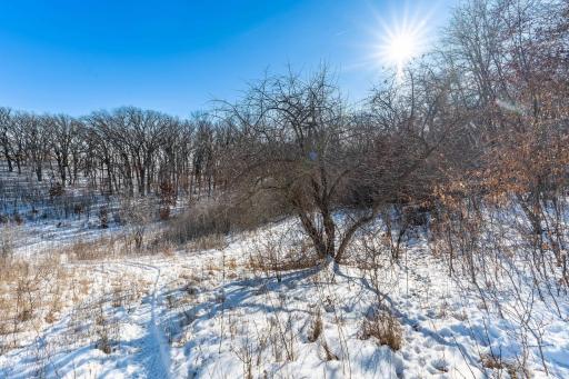 Xxxxx 200th Street, Battle Lake, MN 56515