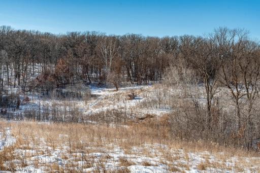 Xxxxx 200th Street, Battle Lake, MN 56515