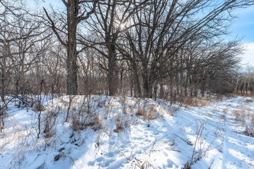 Xxxxx 200th Street, Battle Lake, MN 56515