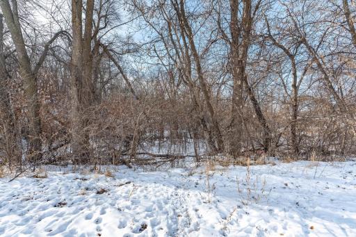 Xxxxx 200th Street, Battle Lake, MN 56515