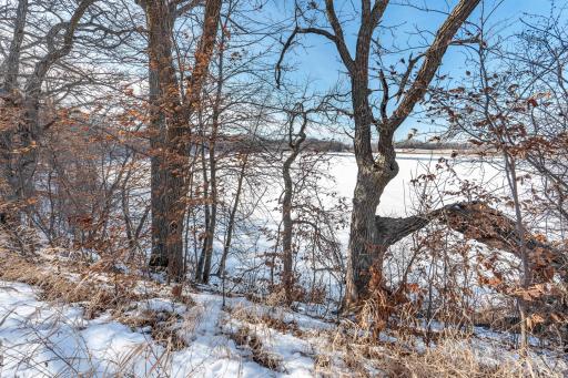 Xxxxx 200th Street, Battle Lake, MN 56515