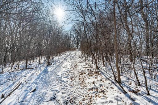 Xxxxx 200th Street, Battle Lake, MN 56515