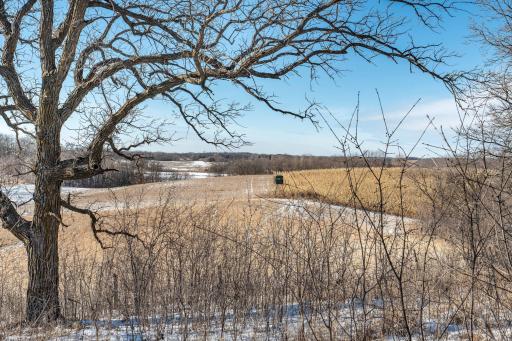 Xxxxx 200th Street, Battle Lake, MN 56515