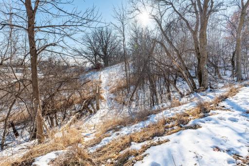 Xxxxx 200th Street, Battle Lake, MN 56515