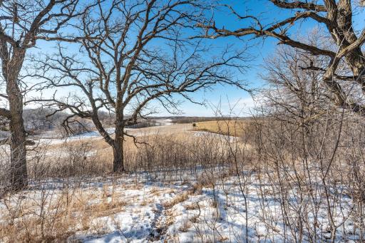 Xxxxx 200th Street, Battle Lake, MN 56515