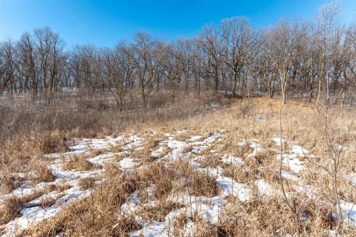 Xxxxx 200th Street, Battle Lake, MN 56515