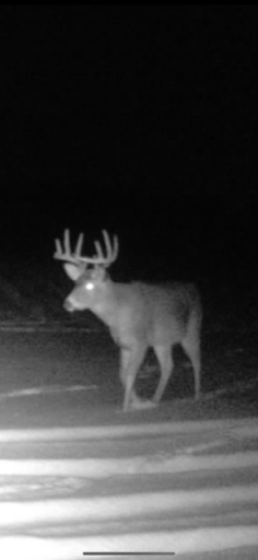 Xxxxx 200th Street, Battle Lake, MN 56515