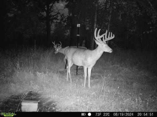 Xxxxx 200th Street, Battle Lake, MN 56515
