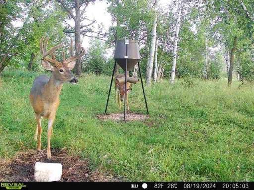 Xxxxx 200th Street, Battle Lake, MN 56515