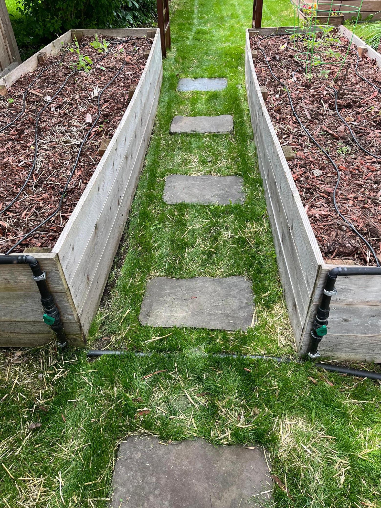 A walking path through the raised flower beds.