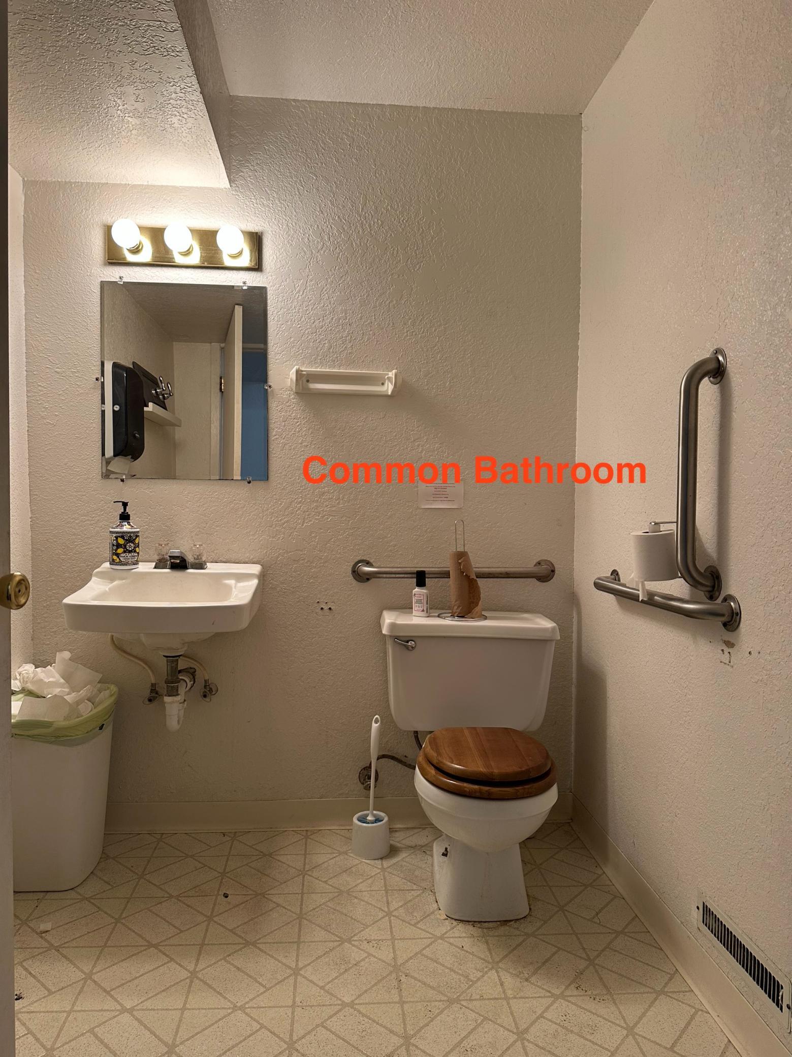 Common bathroom