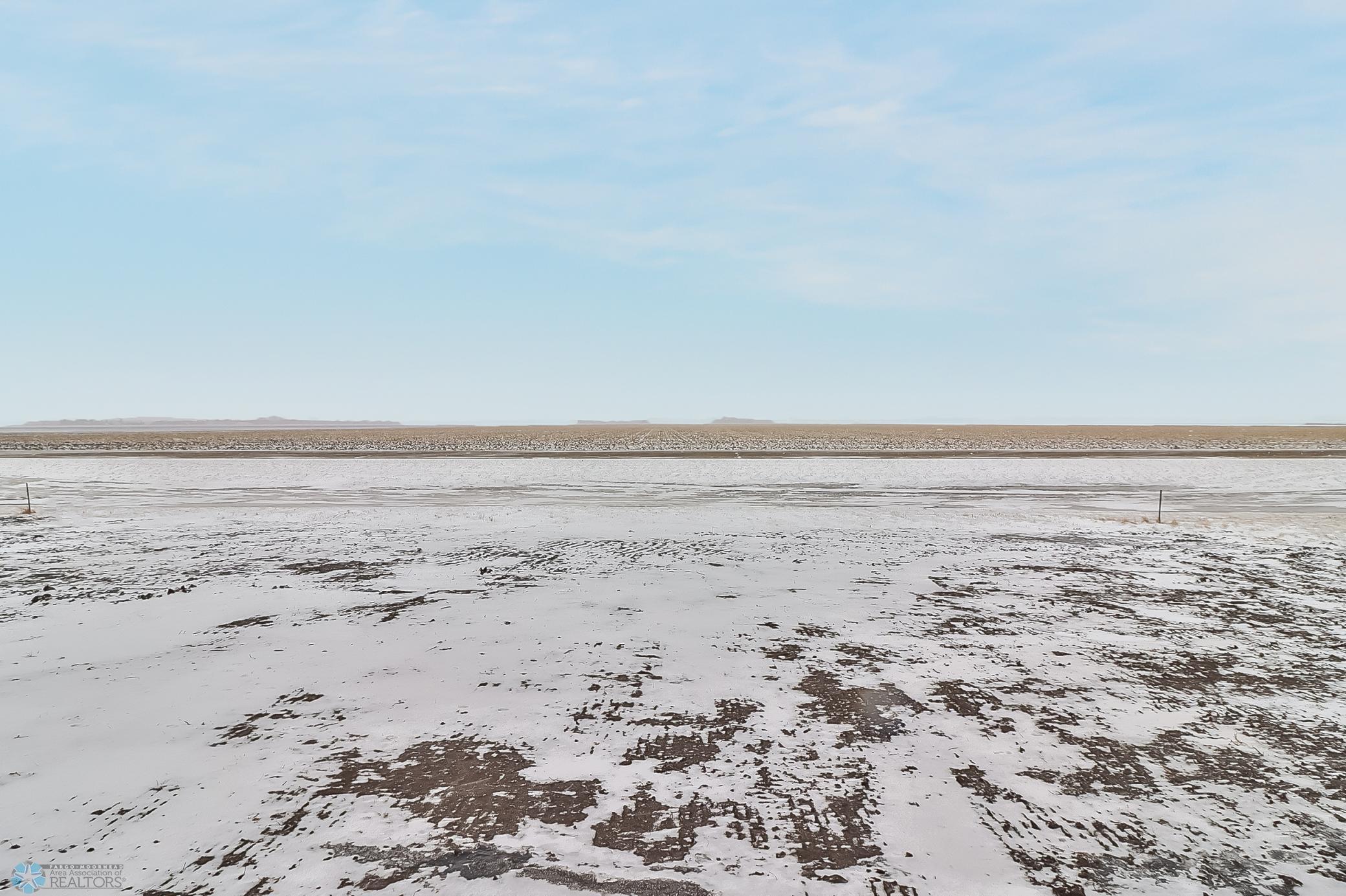 Backyard1_3.jpg