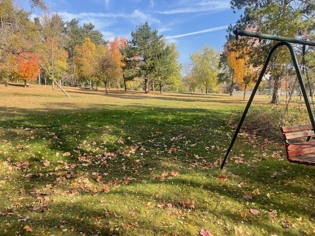 Gorgeous yard which backs up to a park.