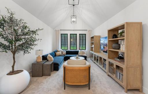 Upper level bonus room features dramatic vault , surround sound and view of towering pine trees.