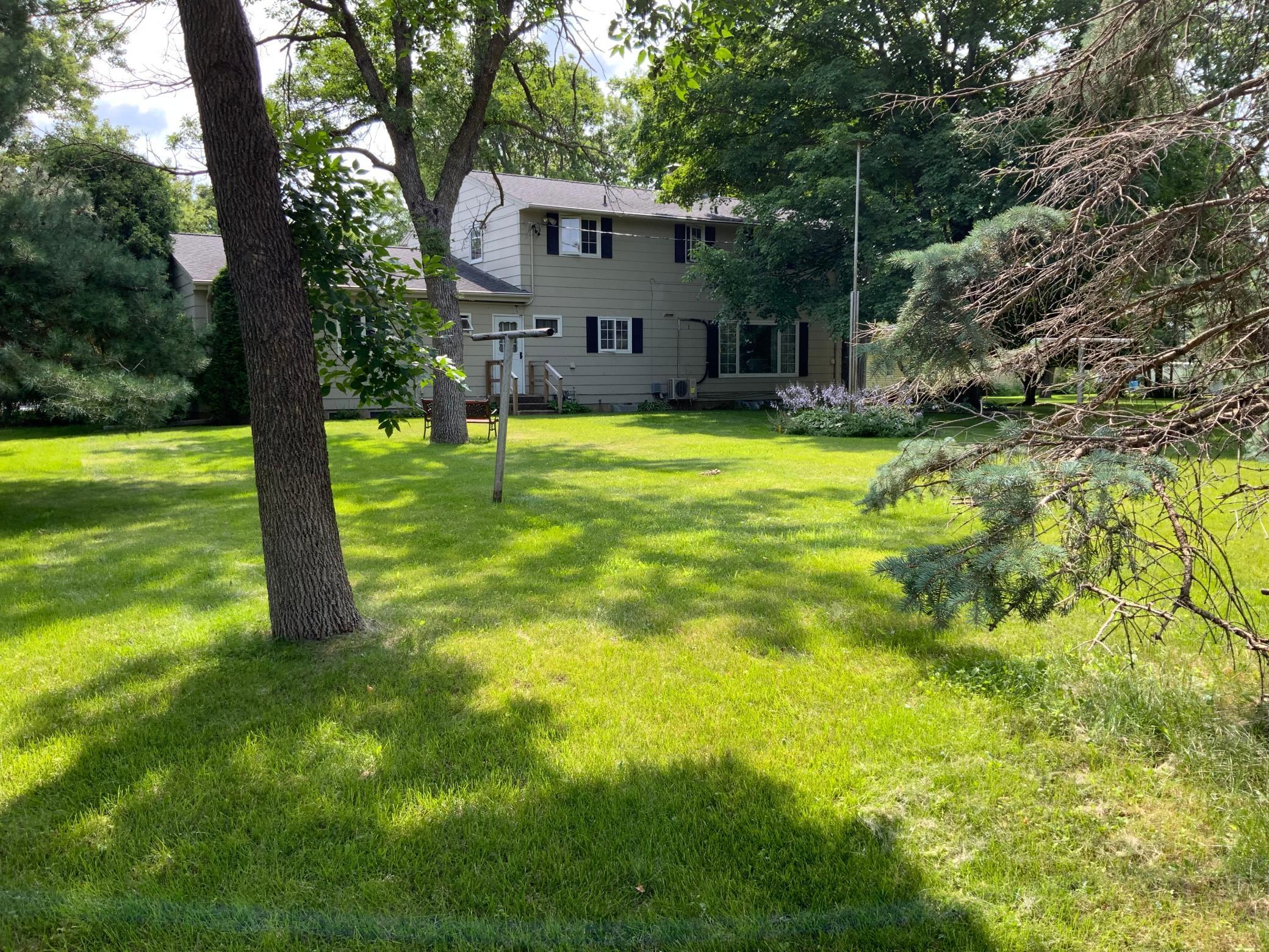 Privacy with backyard evergreens