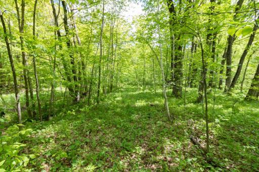 Lot 15 133rd Street, Amery, WI 54001