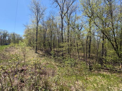 5xxx Banyan Drive, Garrison, MN 56450