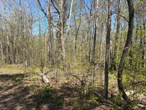 5xxx Banyan Drive, Garrison, MN 56450