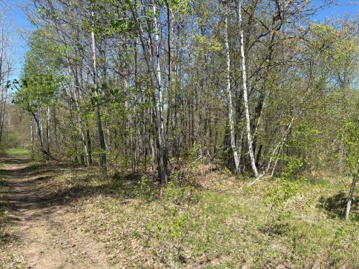 5xxx Banyan Drive, Garrison, MN 56450