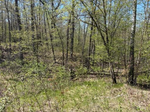 5xxx Banyan Drive, Garrison, MN 56450