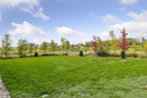 1988 Leaping Deer Circle, Medina, MN 55340