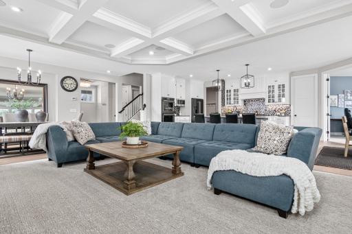Large open main living with tray ceilings