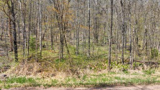 3.91 Acres Gueldner Lane N, Exeland, WI 54835