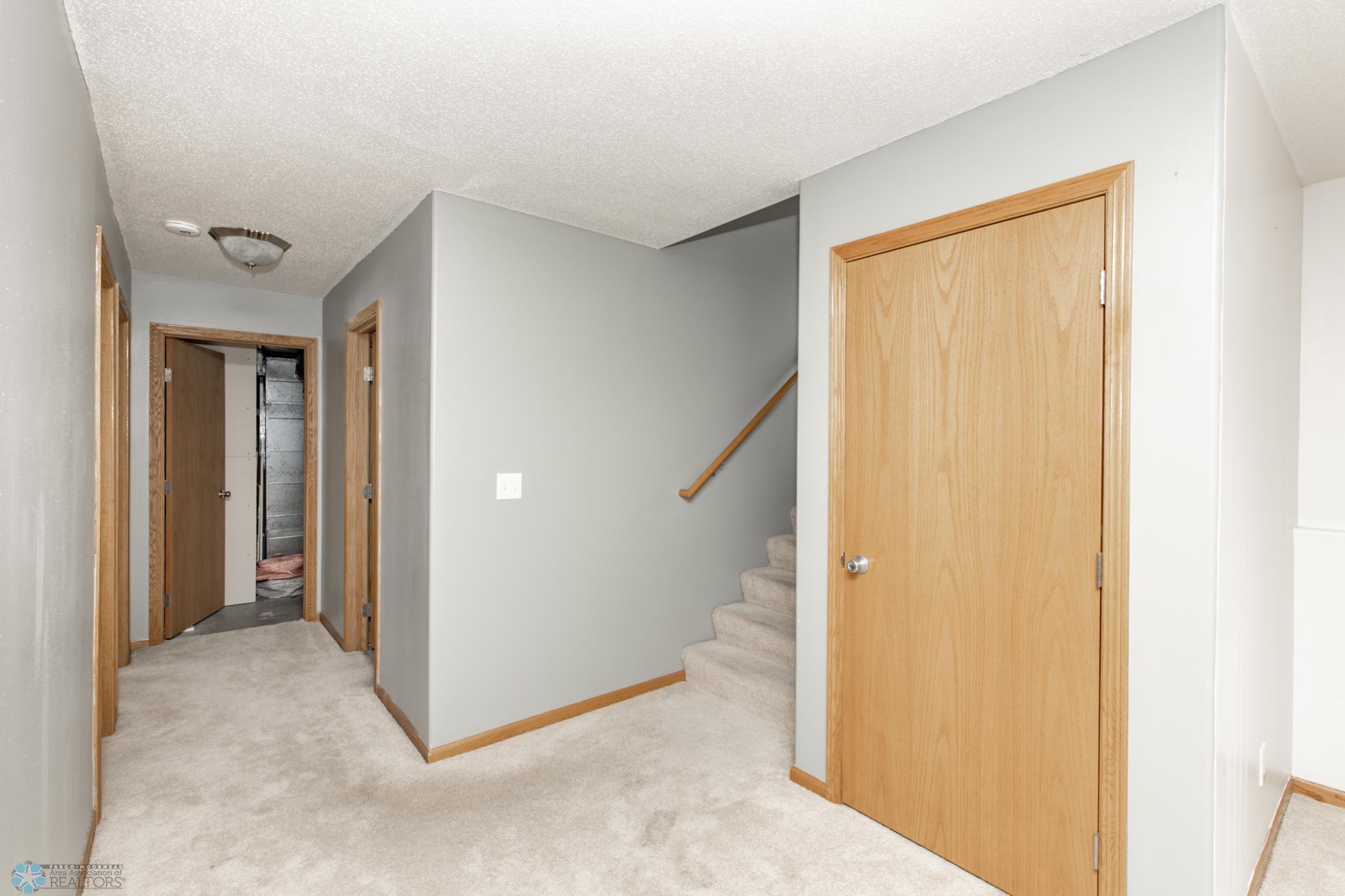 Lower level + storage closet