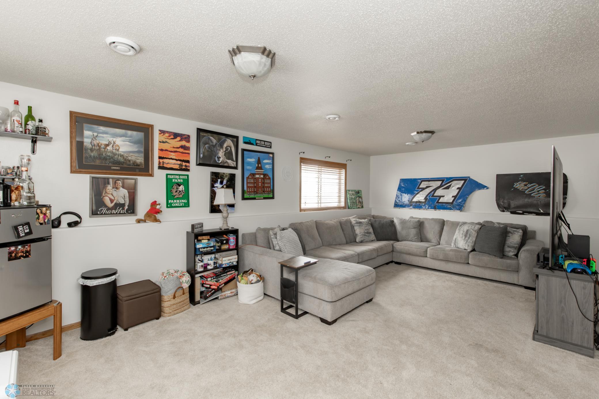 Lower level family room