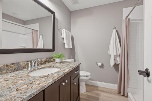 Second lower level bathroom offers a freestanding shower.