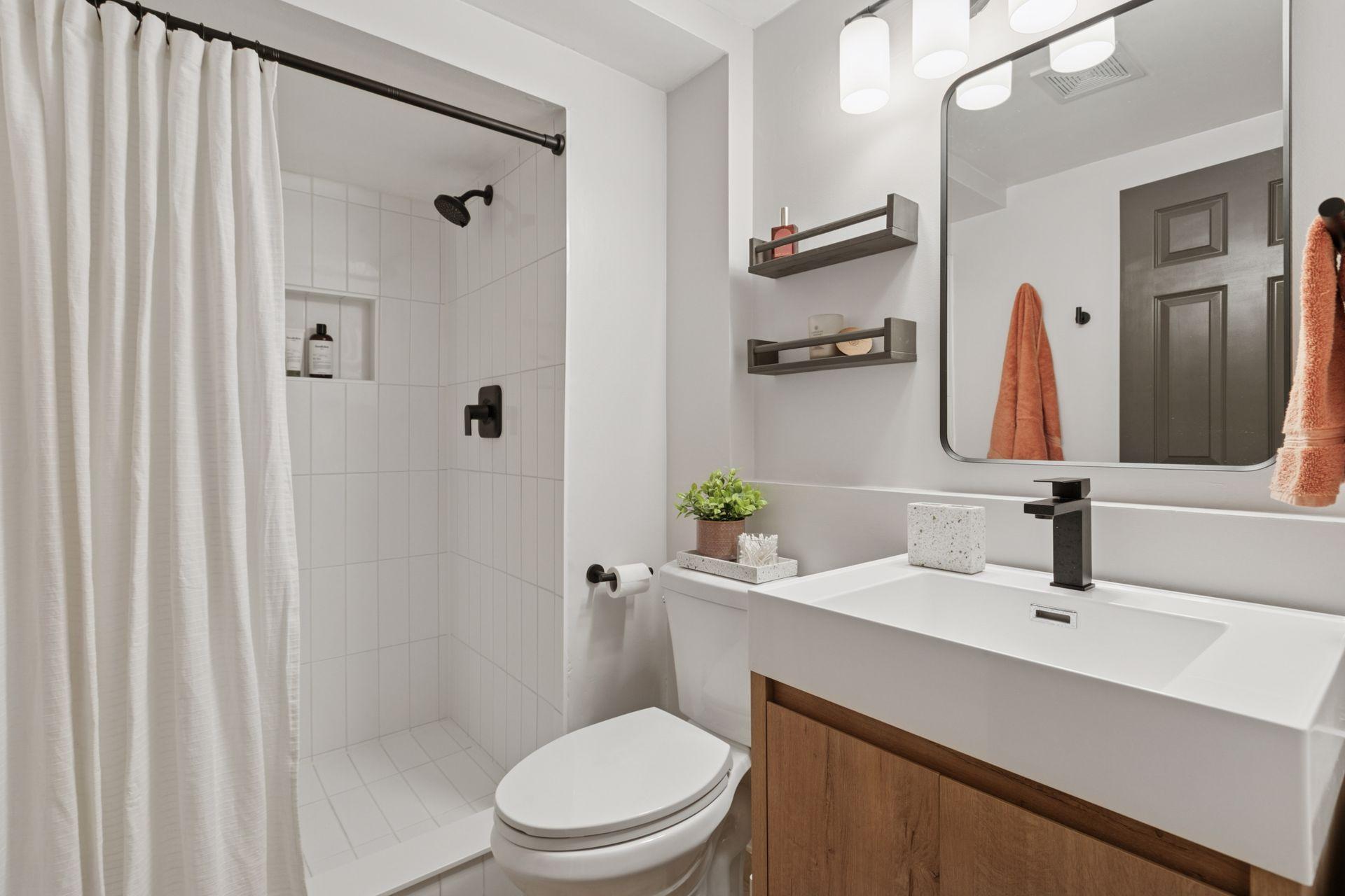 Lower level bathroom