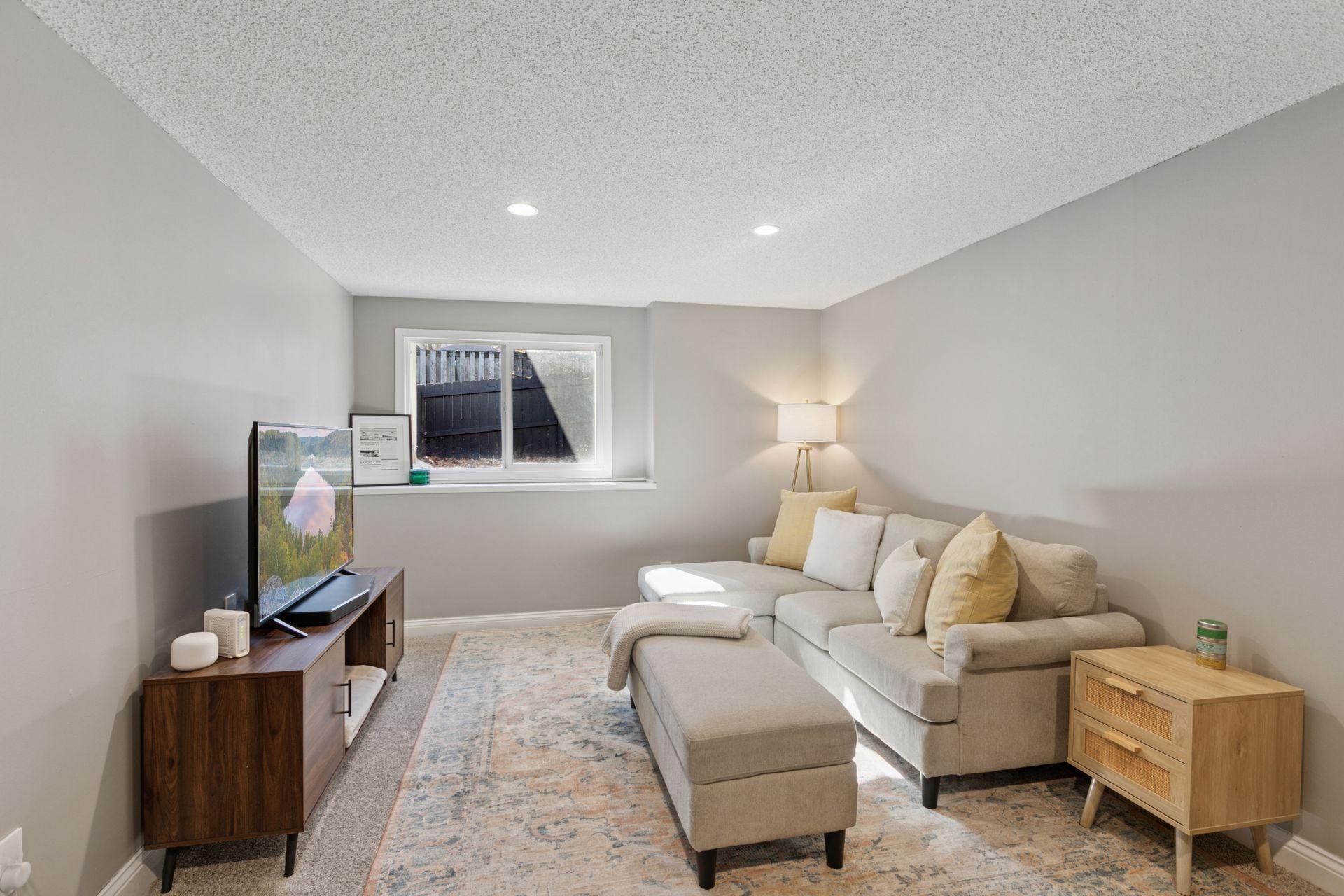 Lower level family room