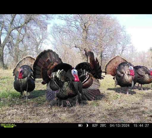 5501 75th Ave NW, Byron, MN 55920