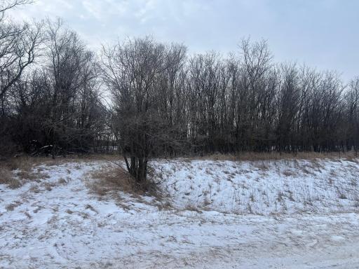 xxx 365th Street, Watkins, MN 55389