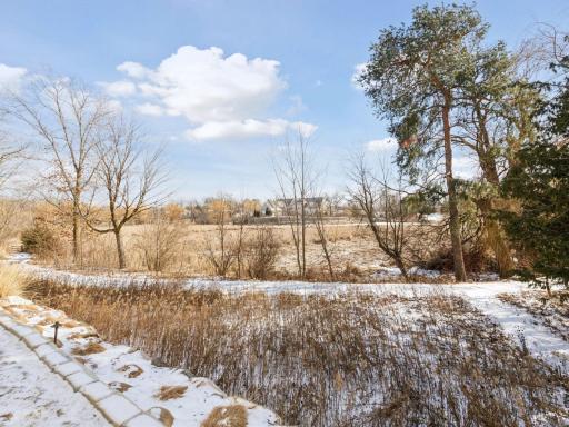 Peaceful nature setting