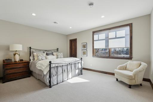 Second lower-level bedroom