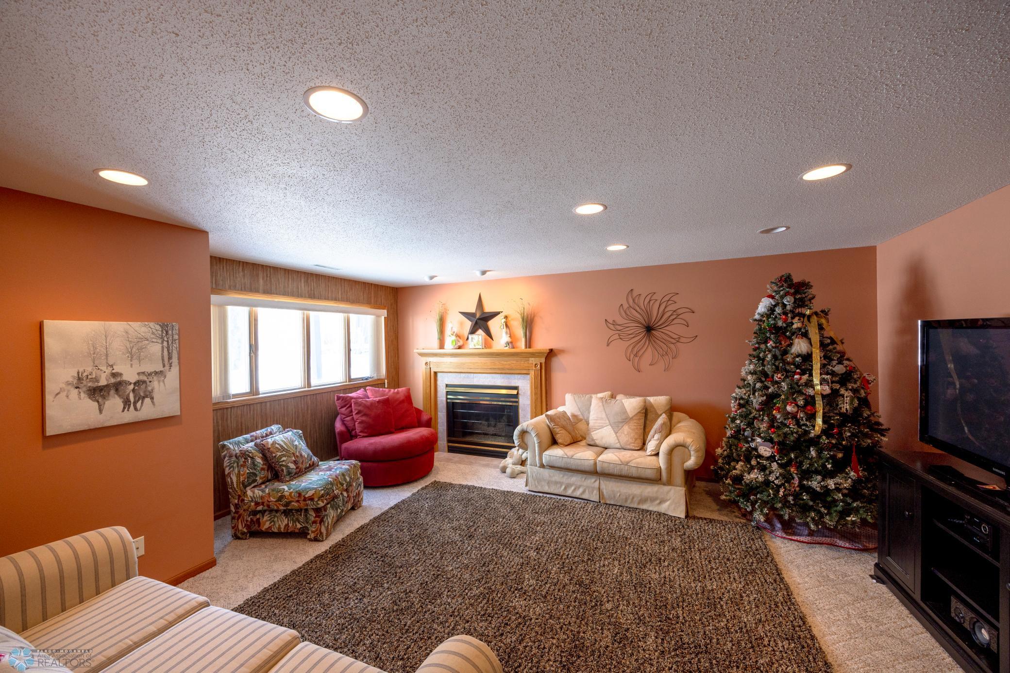 Lower Level Family Room