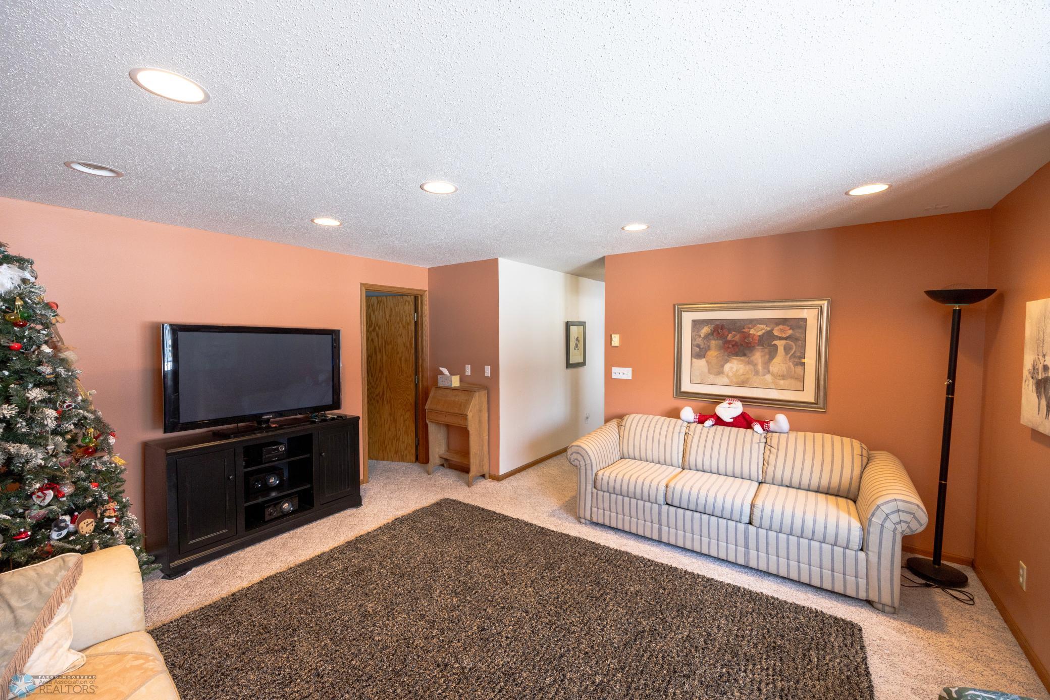 Lower Level Family Room