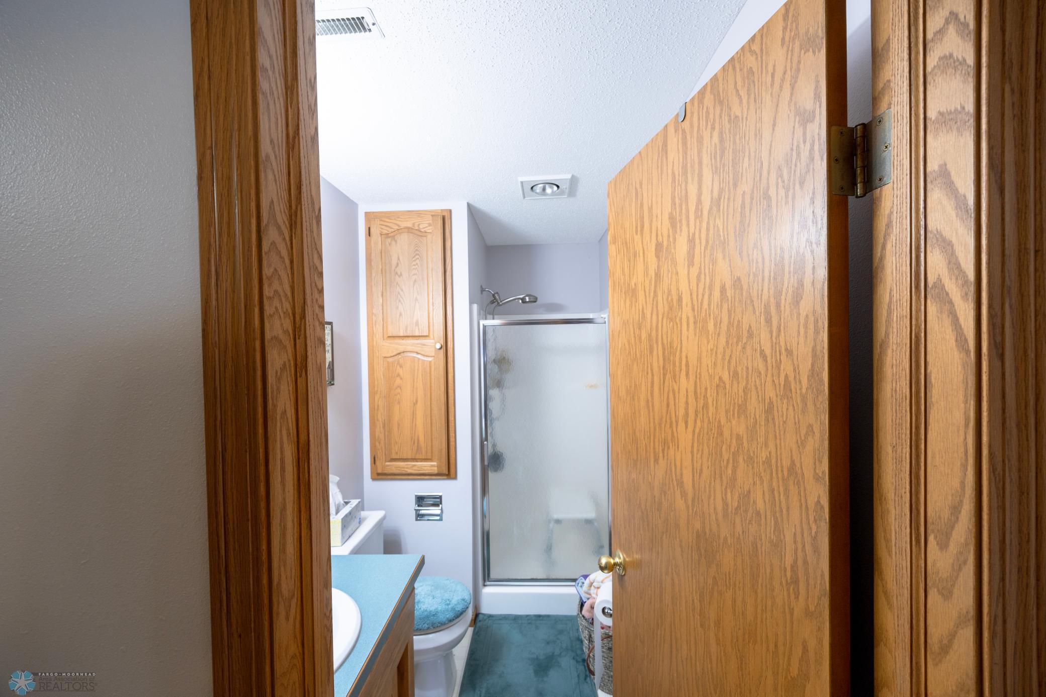 Lower Level 3/4 Bathroom