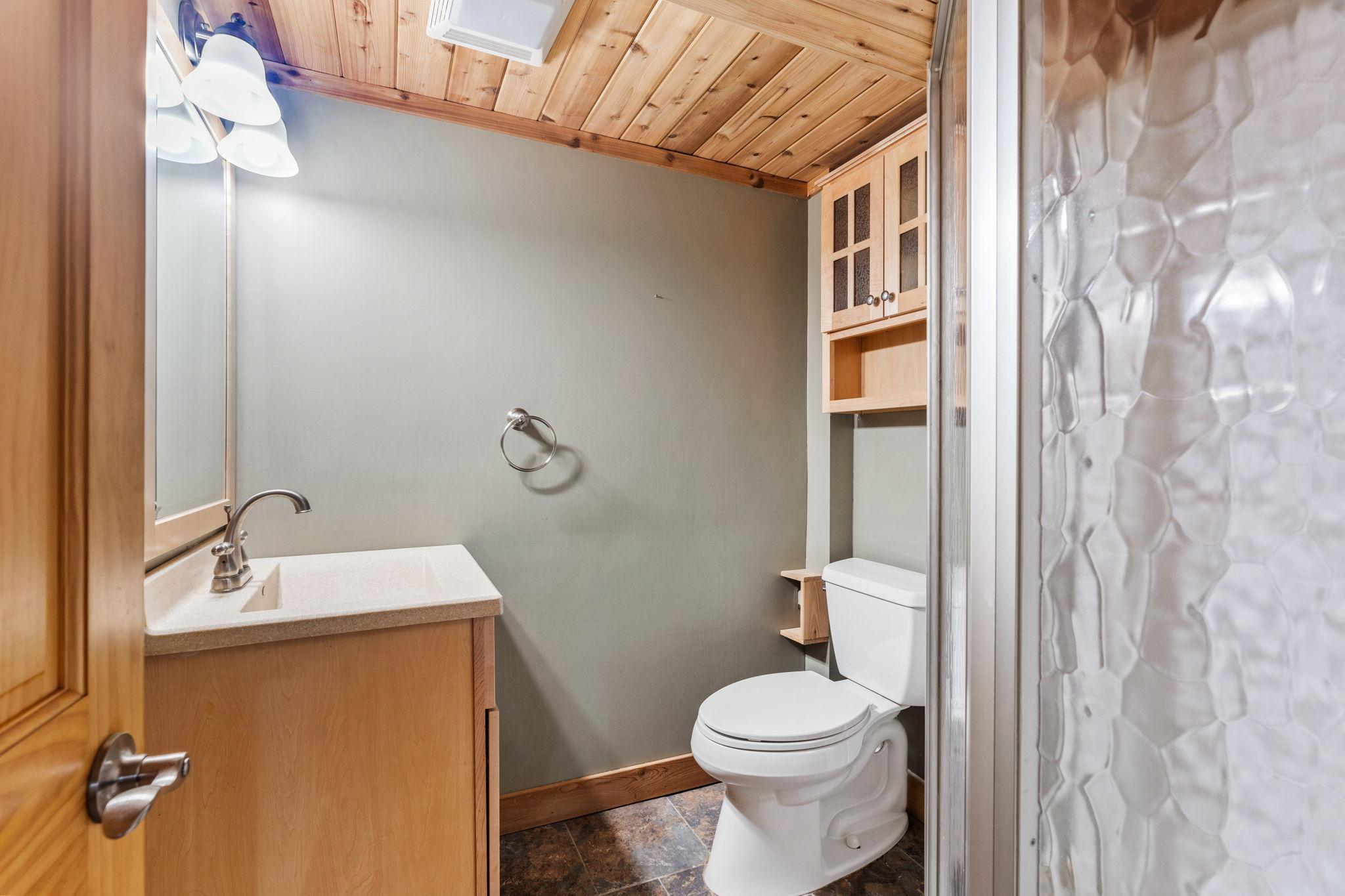 Lower level 3/4 bath.